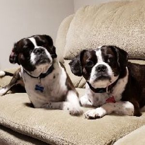 Meet your Posher, Sandy